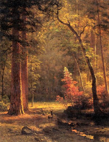 Albert Bierstadt Dogwood by Albert Bierstadt oil painting image